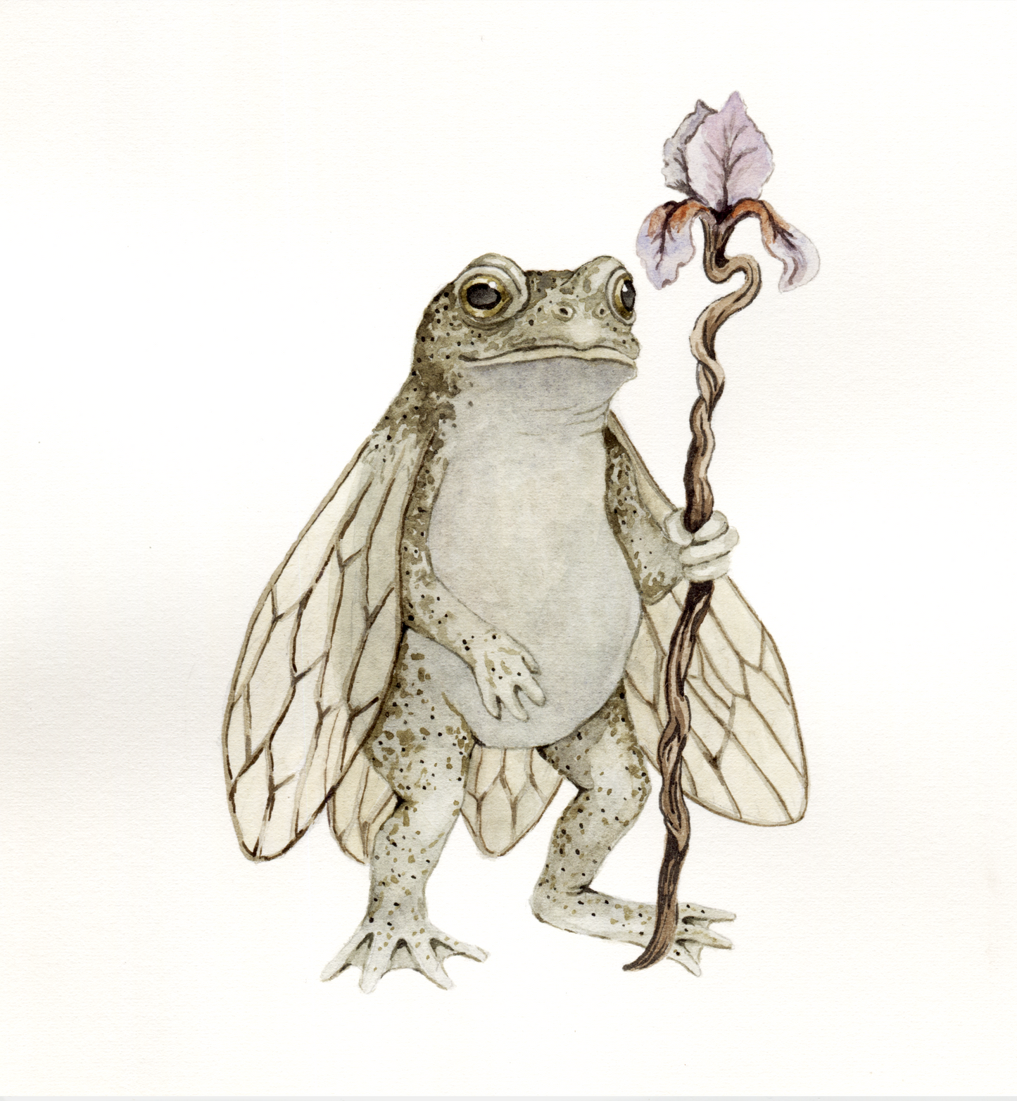 “The Cicada Herald” - Original Watercolor Illustration AVAILABLE AUGUST 1ST