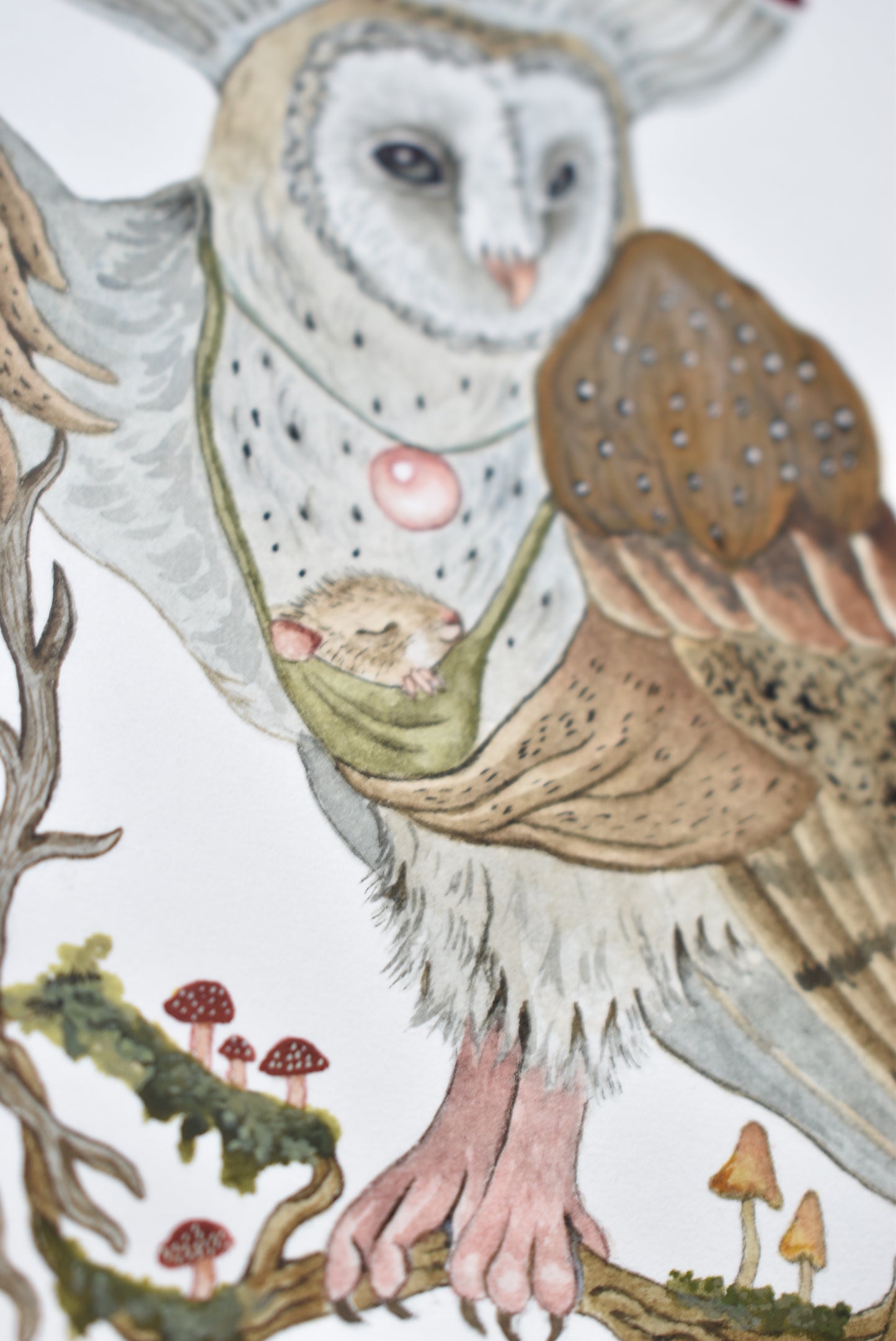Watercolor Marauder Momma - Fine Art Giclee Print