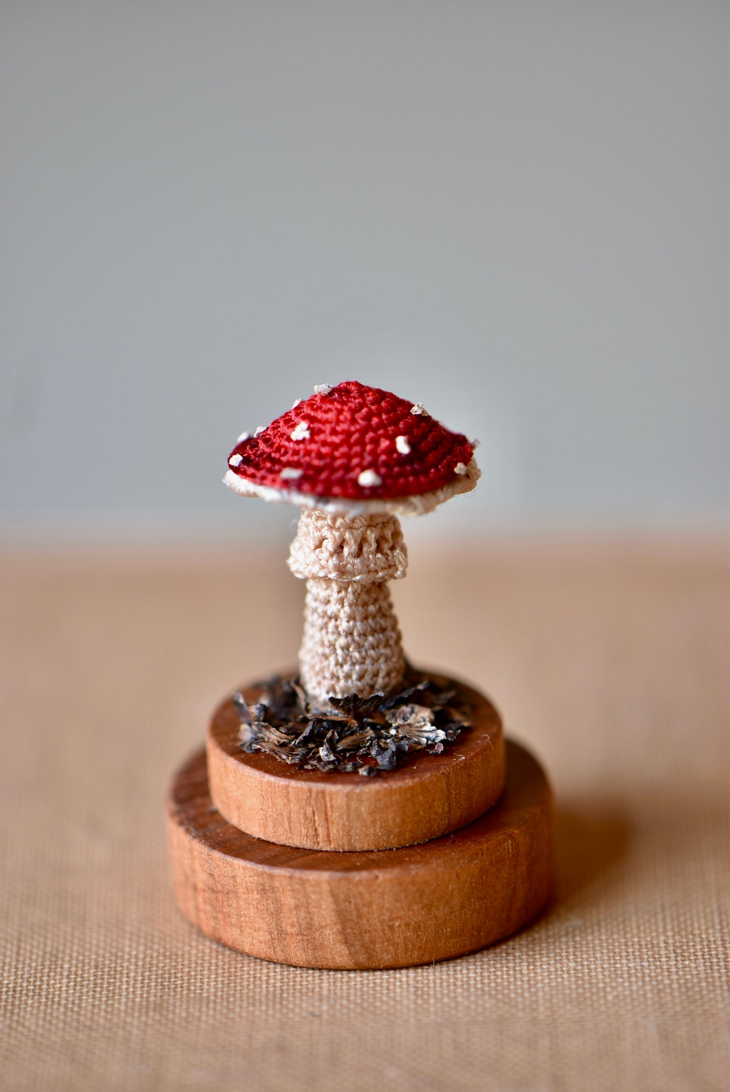 Crocheted Tiny Mushroom - OOAK - Collaboration with Tinybellsoftheprairy -