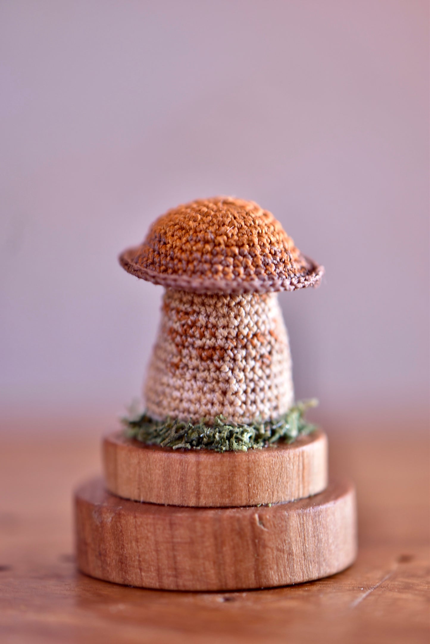 Crocheted Tiny Mushroom  - Collaboration with Tinybellsoftheprairy