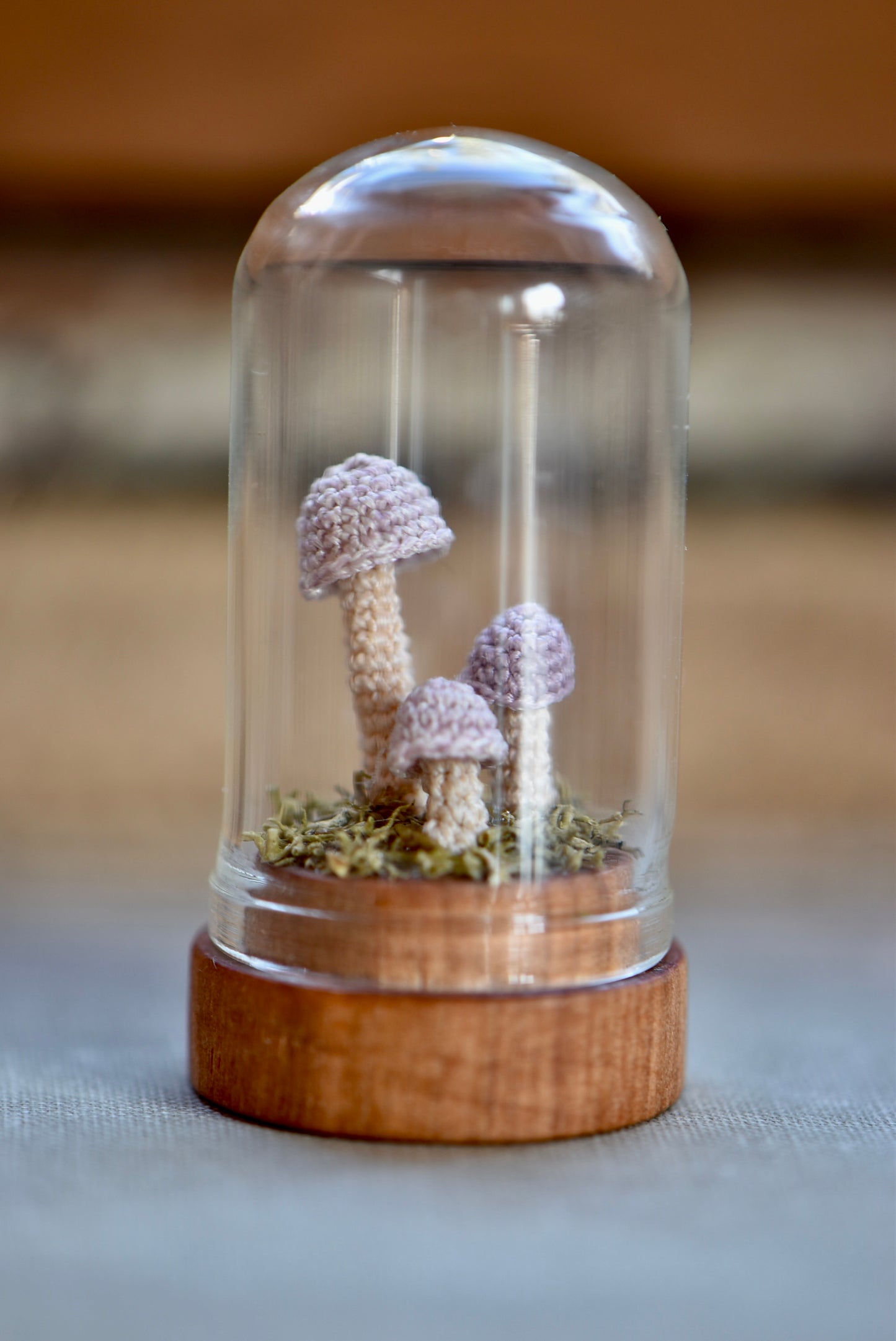 Crocheted Tiny Mushrooms - OOAK - Collaboration with Tinybellsoftheprairy