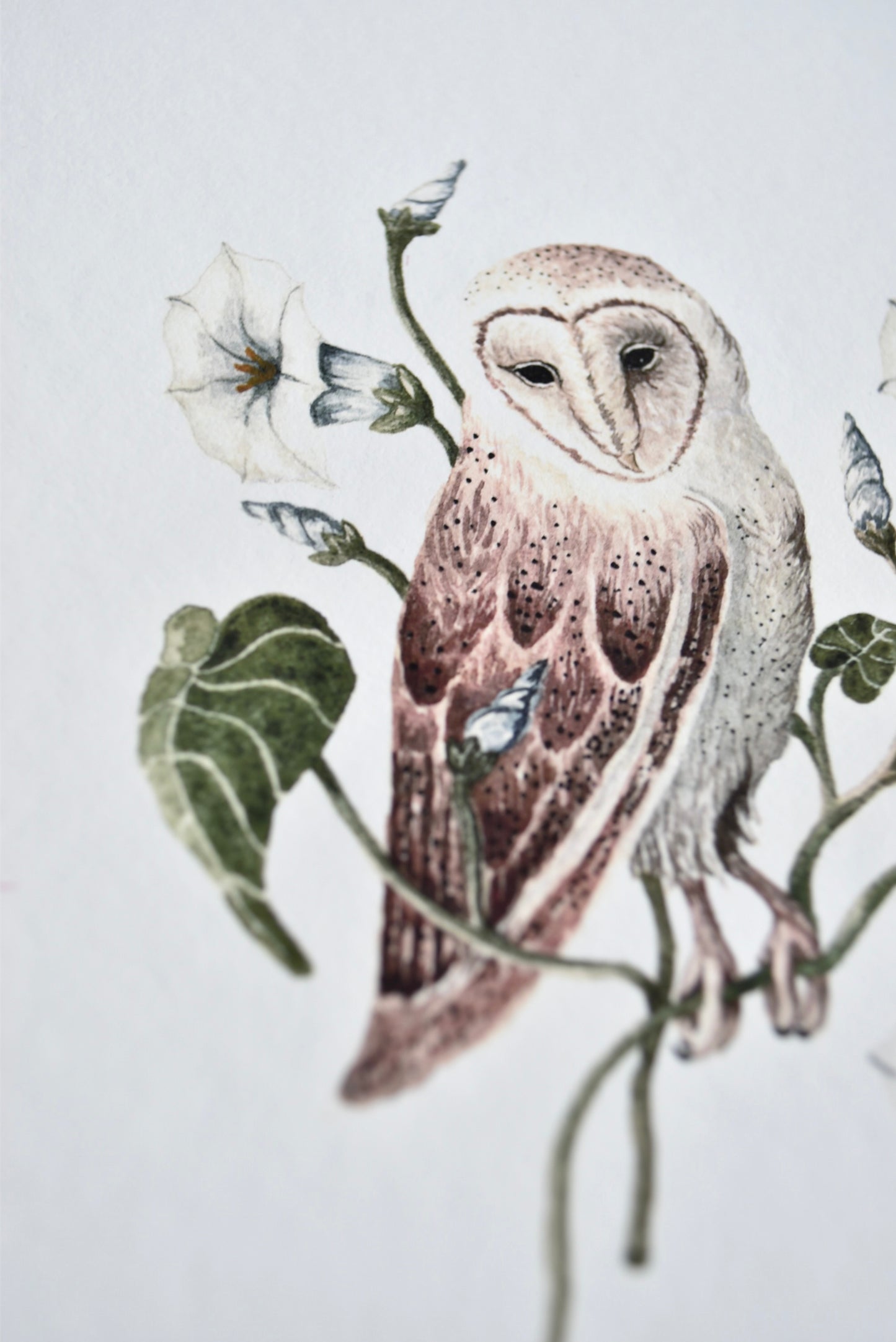 Owl Spirit and Morning Glory Portrait  - Fine Art Giclee Print