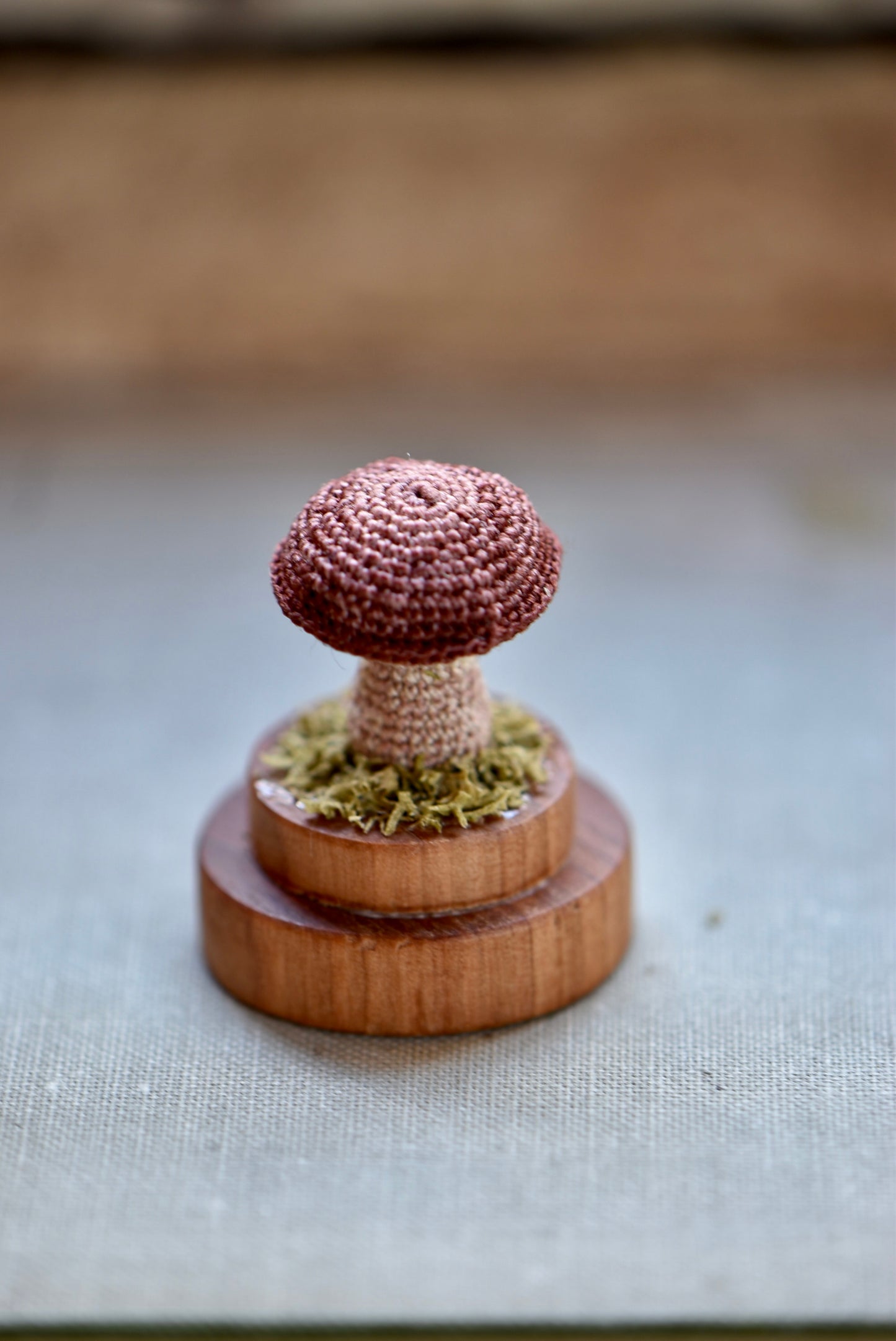 Crocheted Tiny Mushroom - OOAK - Collaboration with Tinybellsoftheprairy