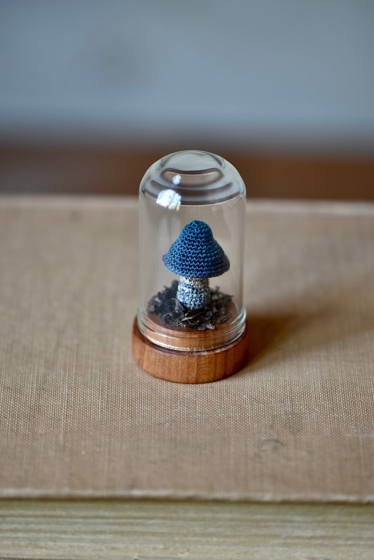 Crocheted Tiny Mushroom - OOAK - Collaboration with Tinybellsoftheprairy -
