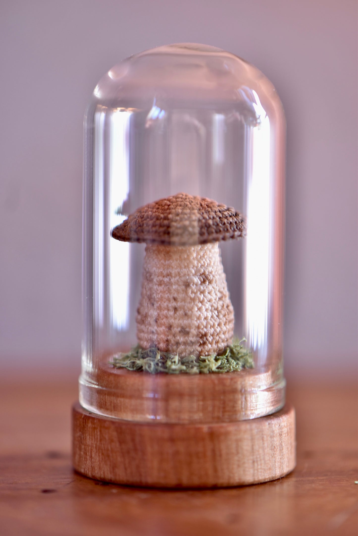 Crocheted Tiny Mushroom  - Collaboration with Tinybellsoftheprairy