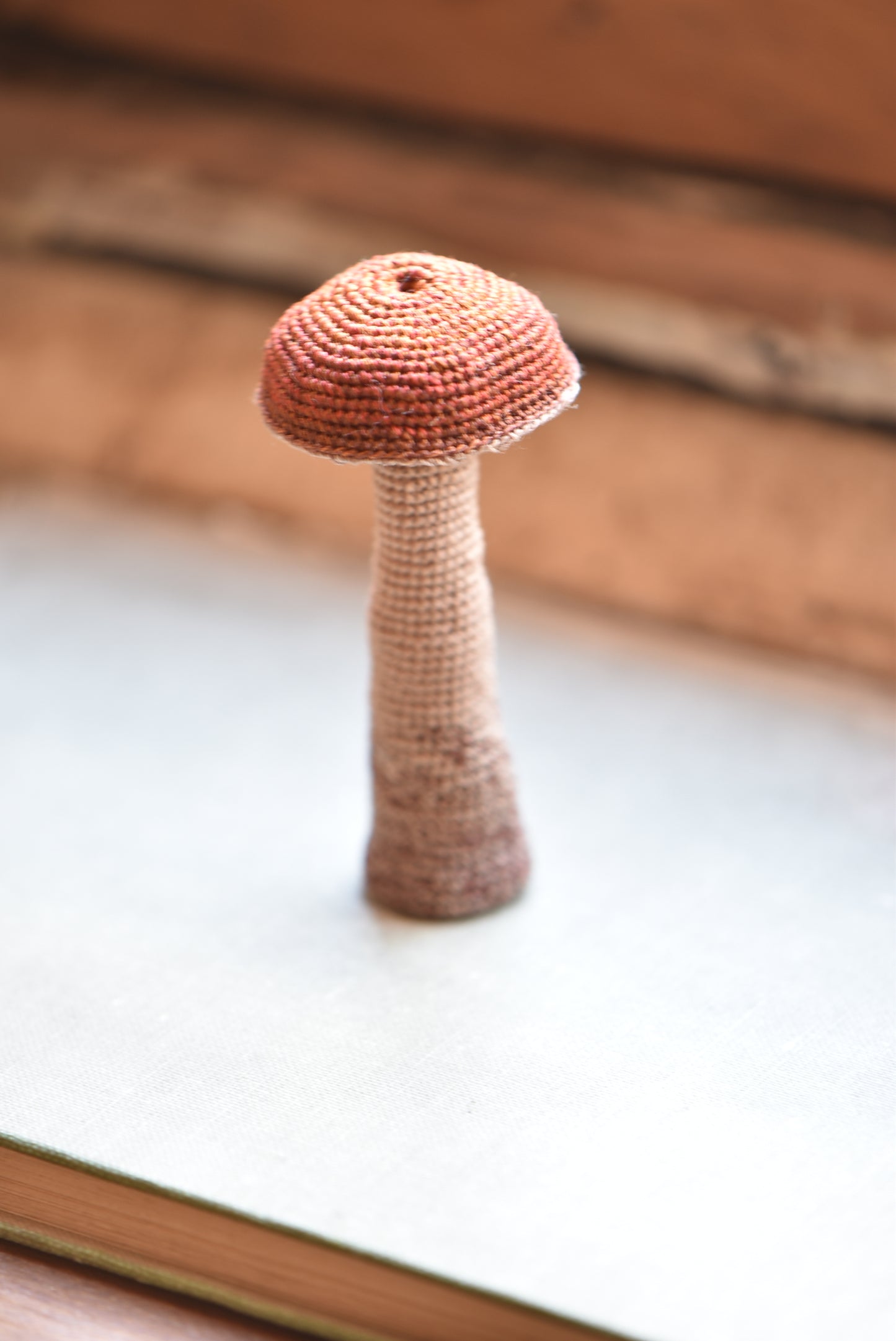 Crocheted Little Mushroom - OOAK - Collaboration with Tinybellsoftheprairy