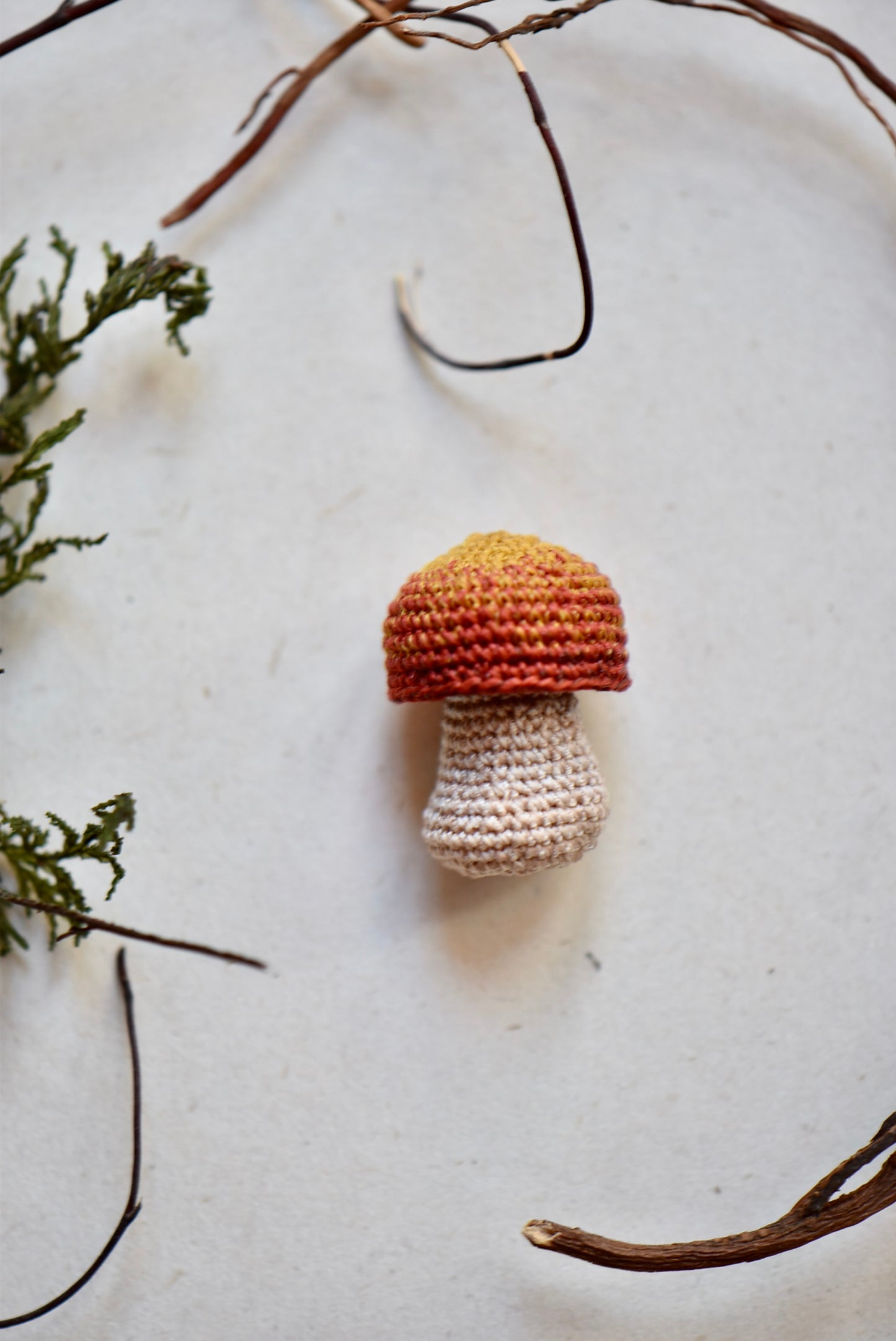 Crocheted Tiny Mushroom - OOAK - Collaboration with Tinybellsoftheprairy