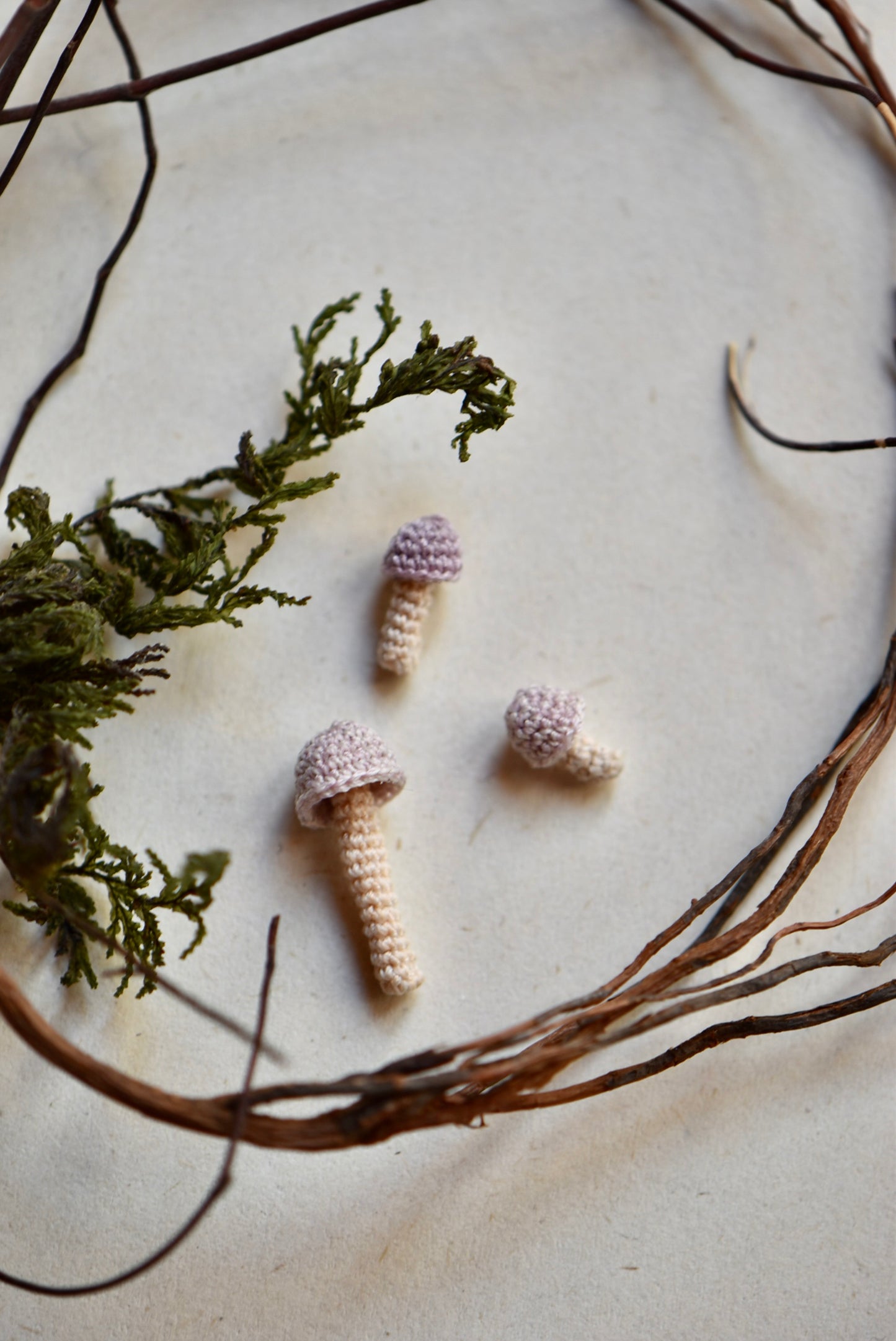 Crocheted Tiny Mushrooms - OOAK - Collaboration with Tinybellsoftheprairy