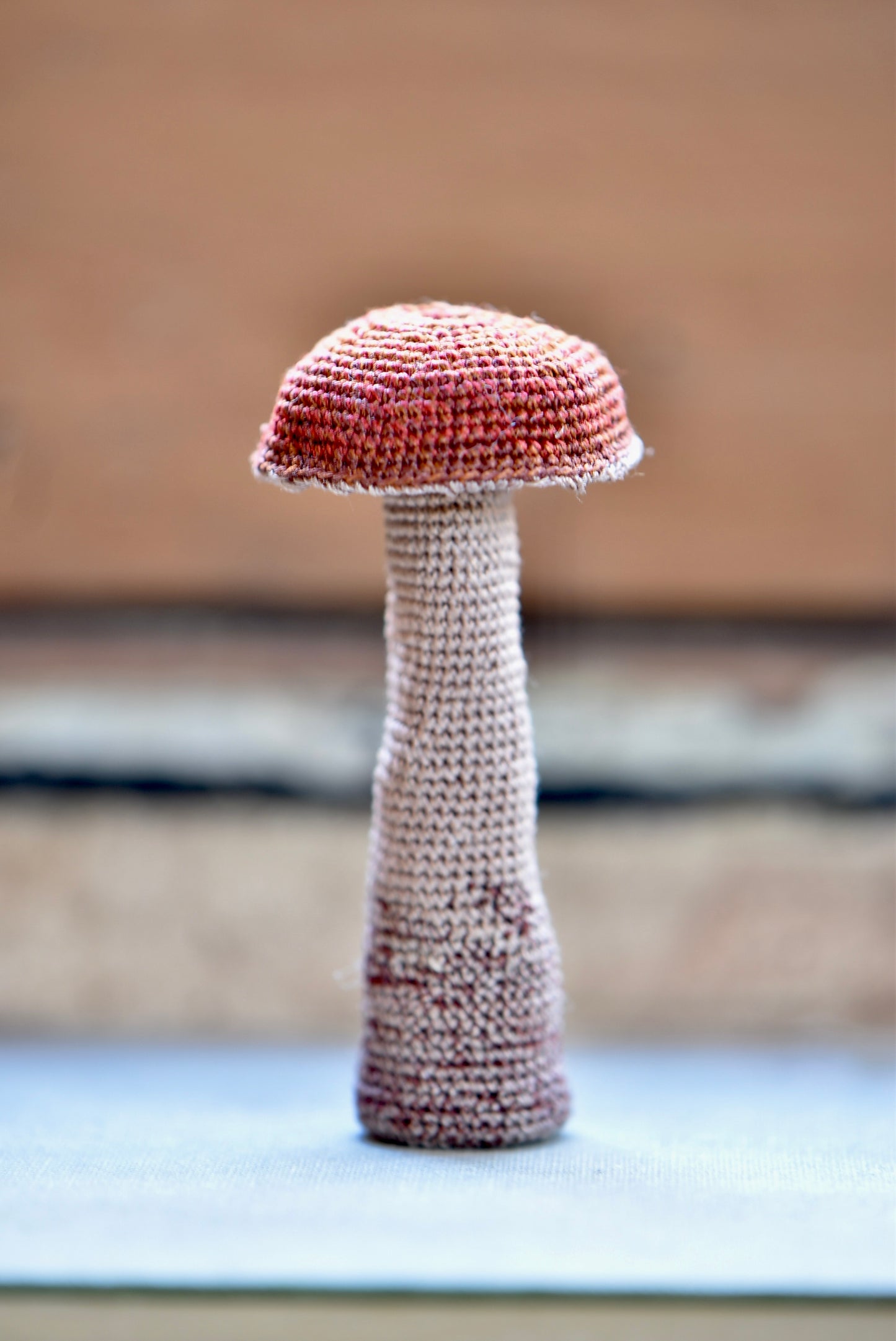 Crocheted Little Mushroom - OOAK - Collaboration with Tinybellsoftheprairy