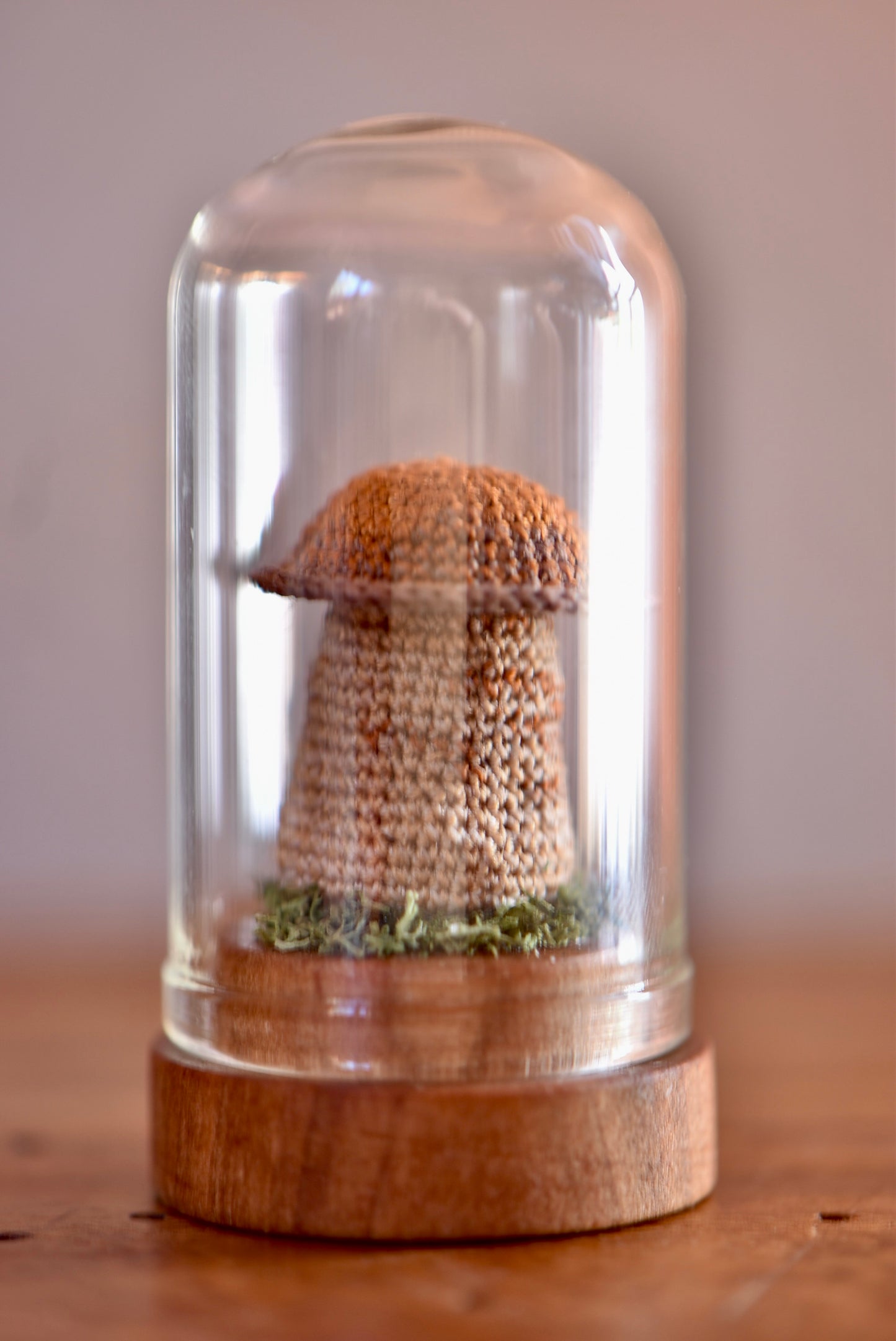 Crocheted Tiny Mushroom  - Collaboration with Tinybellsoftheprairy