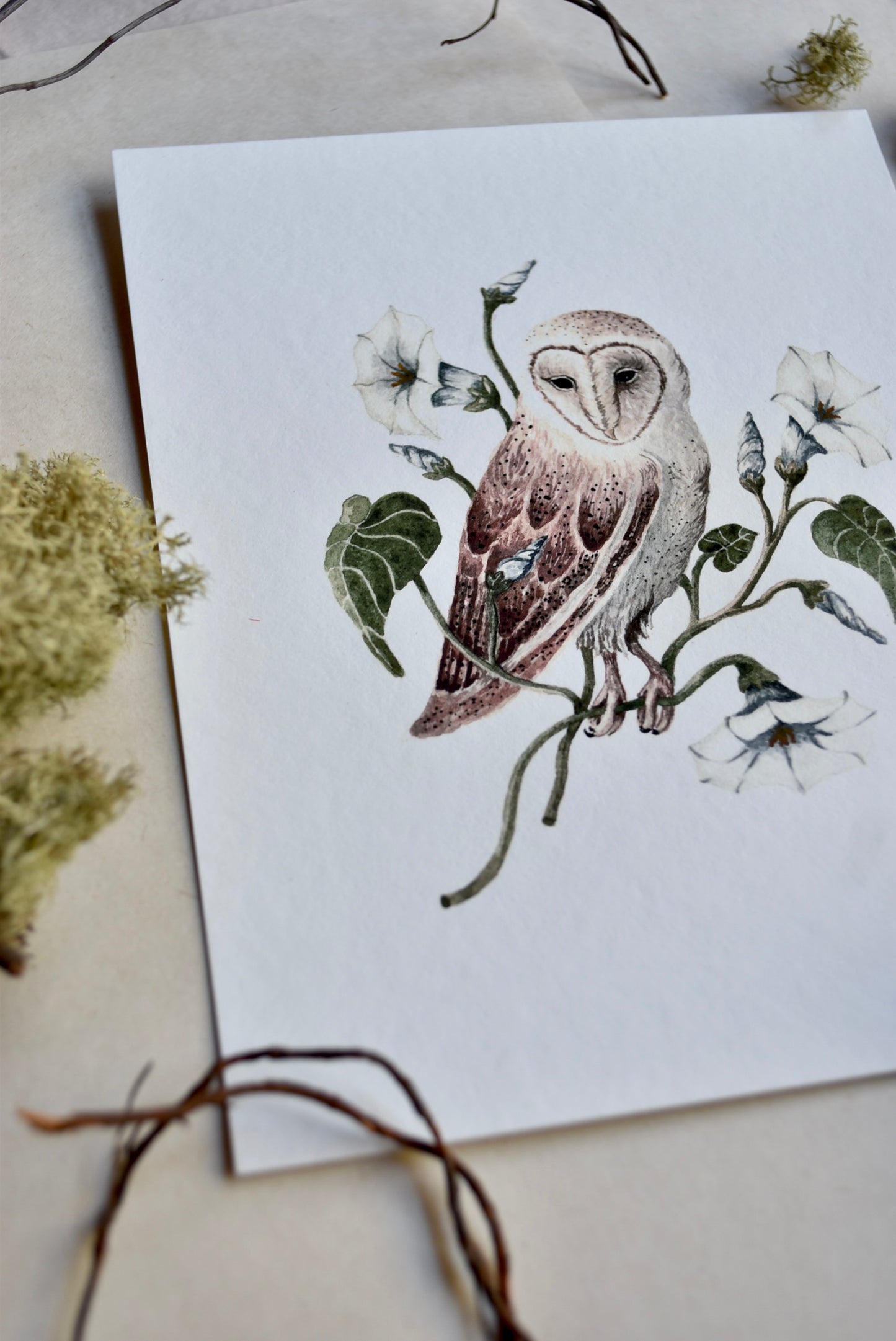 Watercolor  Owl Spirit and Morning Glory Portrait  - Fine Art Giclee Print