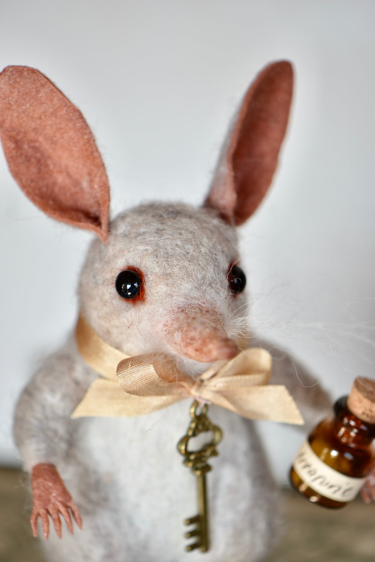 Little  Bilby- Rustles from the meadow Limited Edition