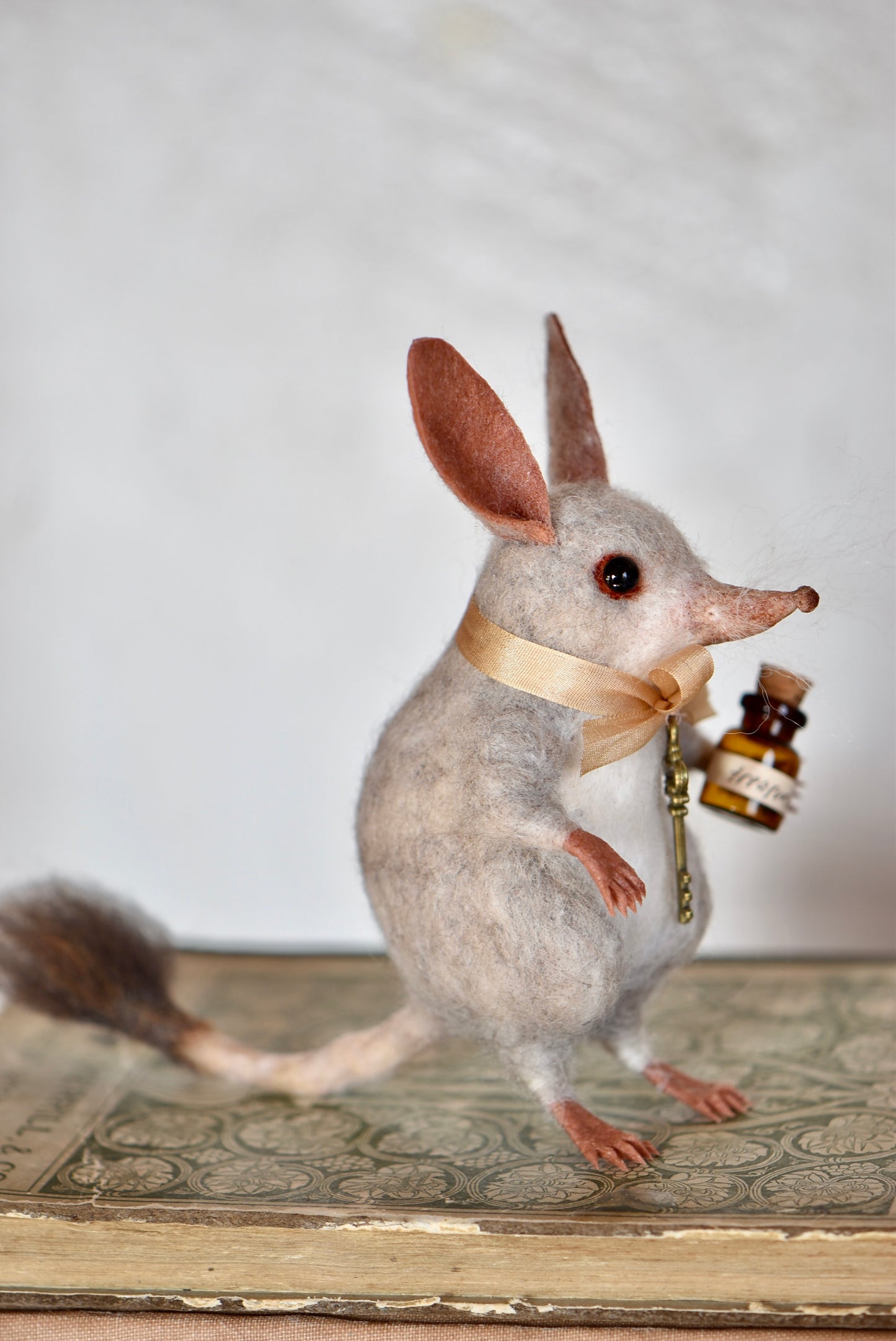 Little  Bilby- Rustles from the meadow Limited Edition