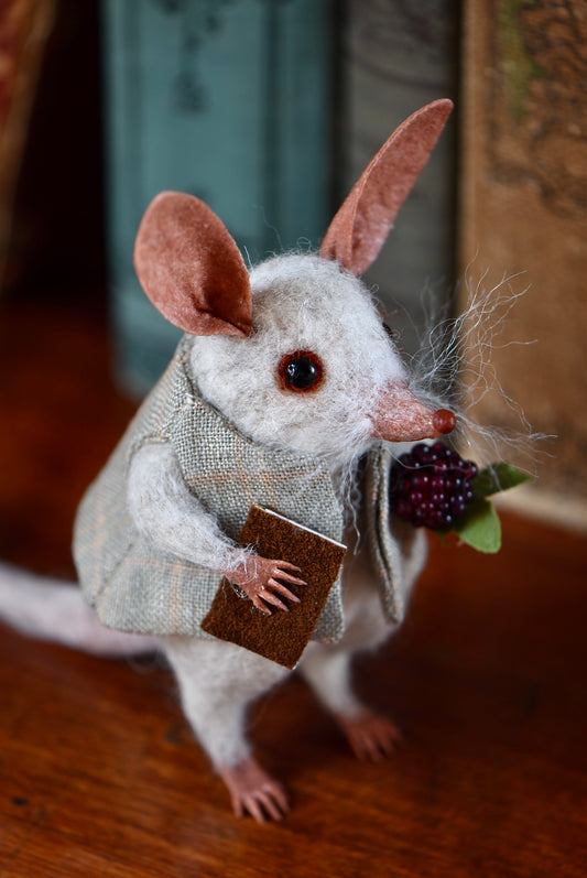 Little  Bilby- Rustles from the meadow