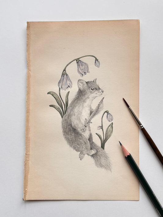 Original Watercolor Illustration Little Brave Marten