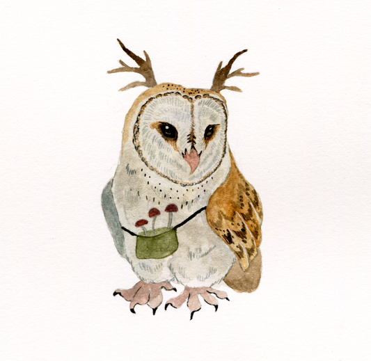 Watercolor Marauder Owl  - Fine Art Giclee Print (Copy)