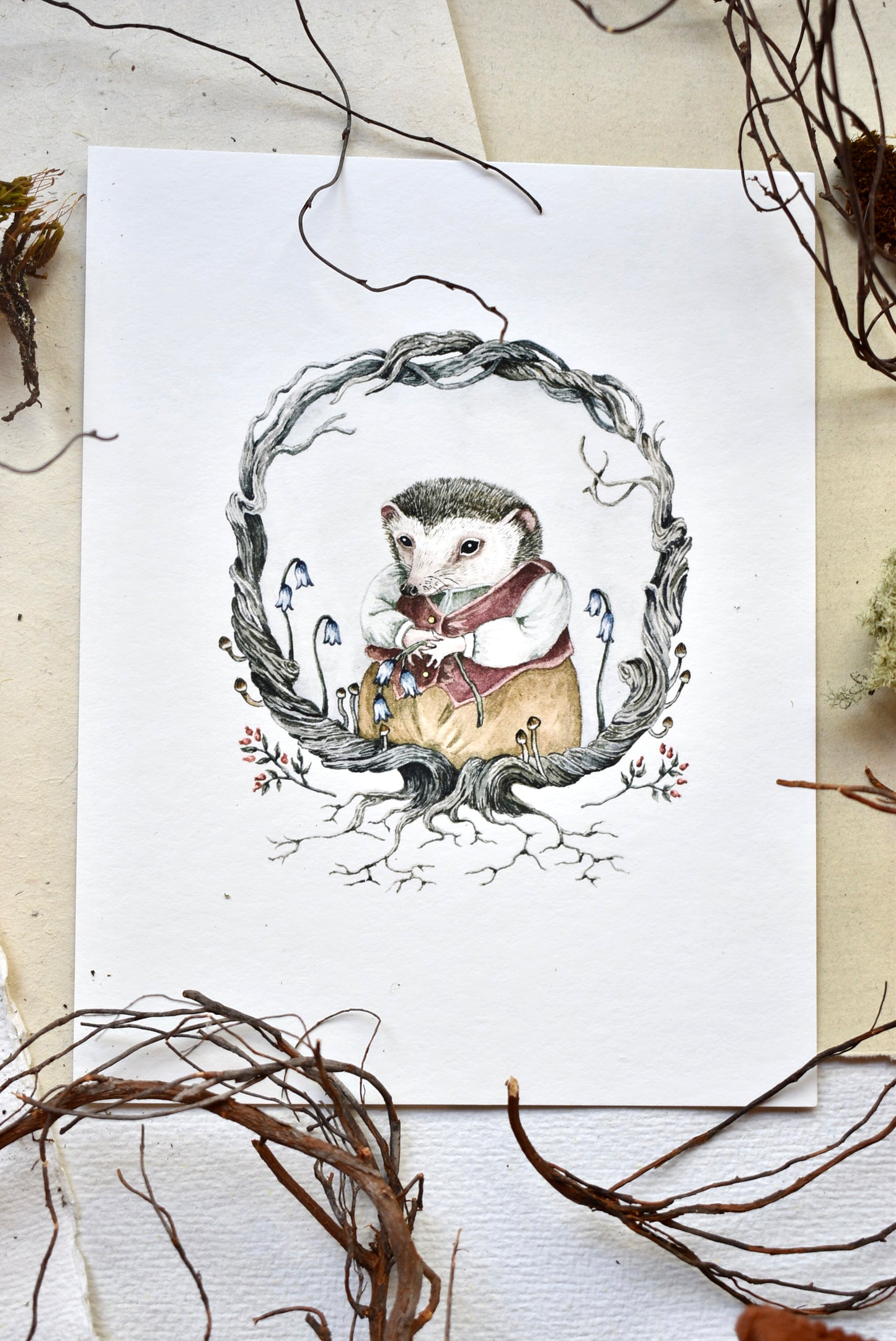 Hedgehog Portrait  - Fine Art Giclee Print