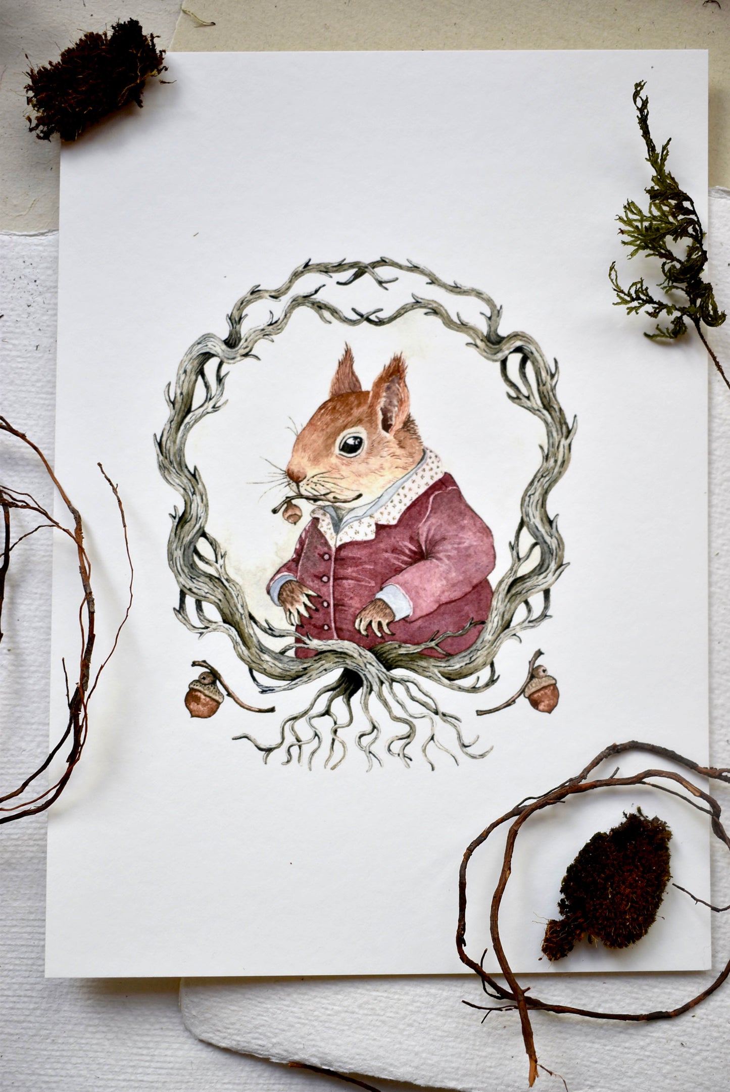 Squirrel Portrait  - Fine Art Giclee Print