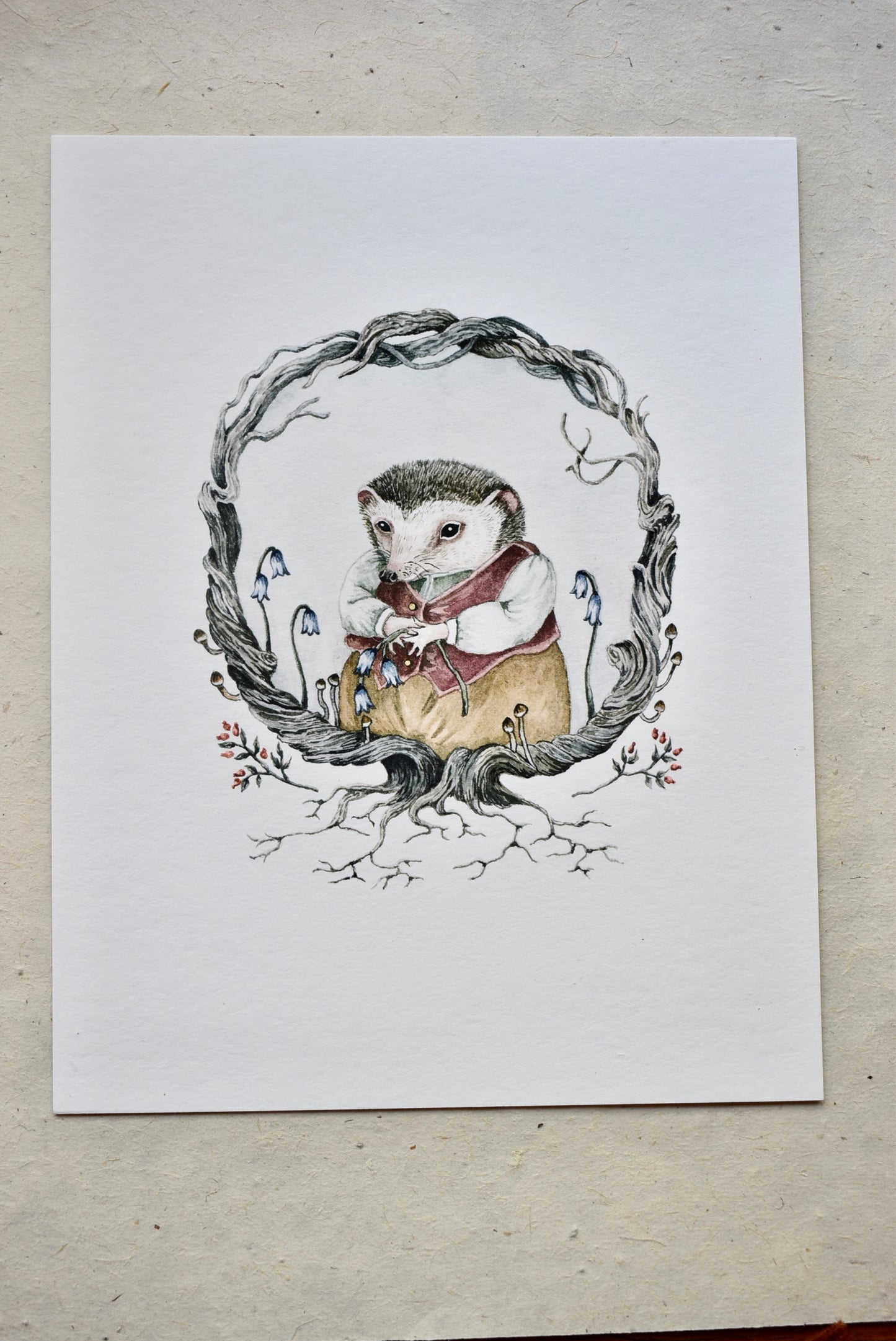 Hedgehog Portrait  - Fine Art Giclee Print